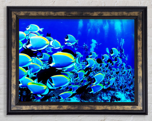 Oceans Glory Framed Print