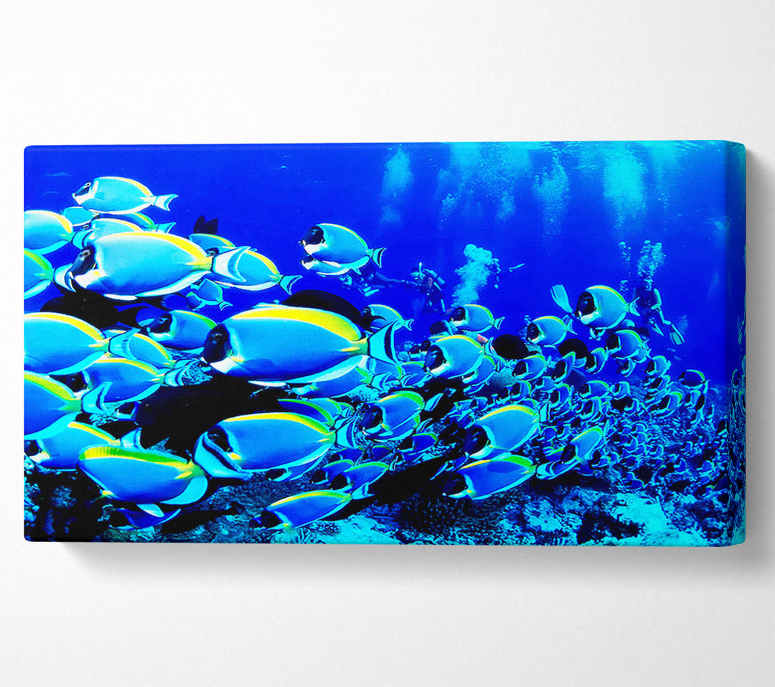  A Canvas Print of Oceans Glory Canvas Print