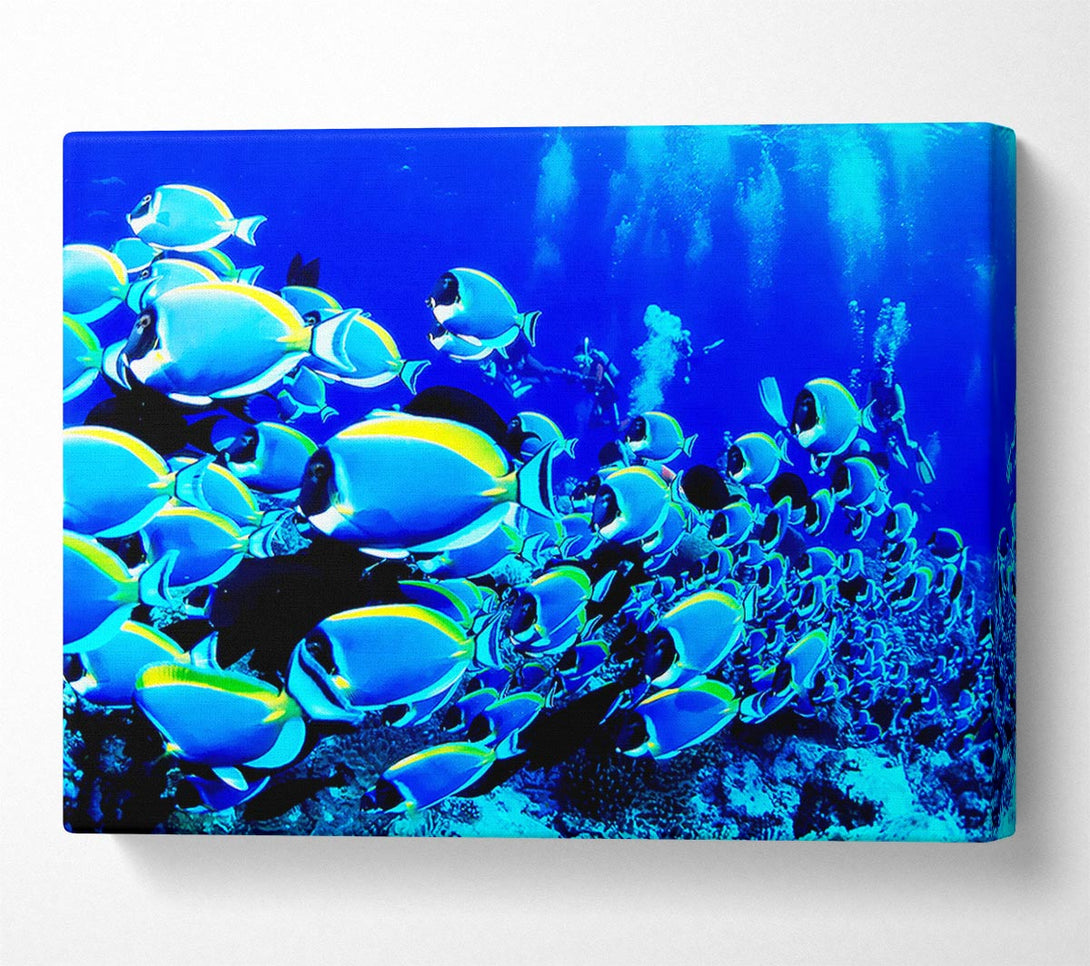  A Canvas Print of Oceans Glory Canvas Print
