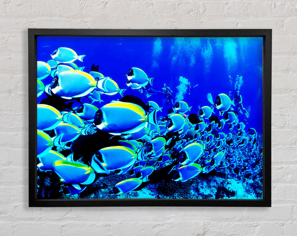 Oceans Glory Framed Print