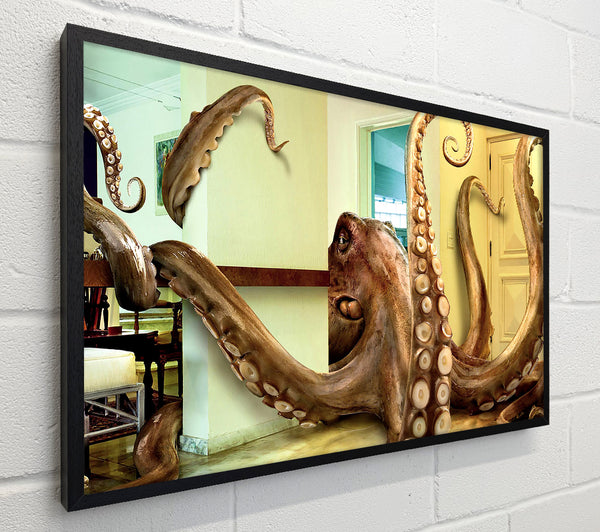 Octopus Invasion