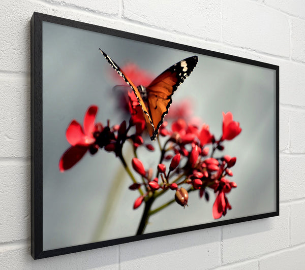 Orange Butterfly On Flower