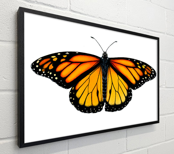 Orange Butterfly Wings