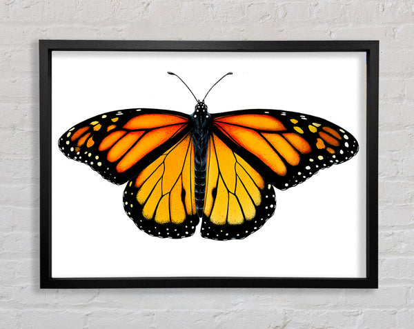 Orange Schmetterlingsflügel