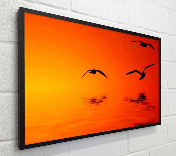 Orange Ocean Flight