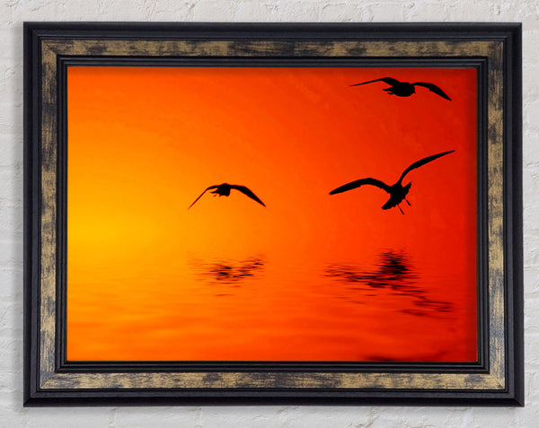 Orange Ocean Flight Framed Print