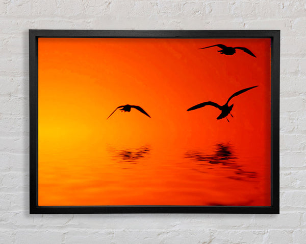 Orange Ocean Flug