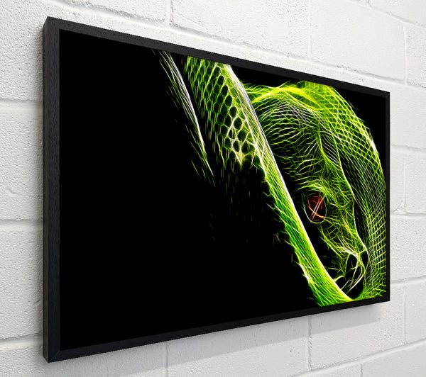 Green Blaze Snake