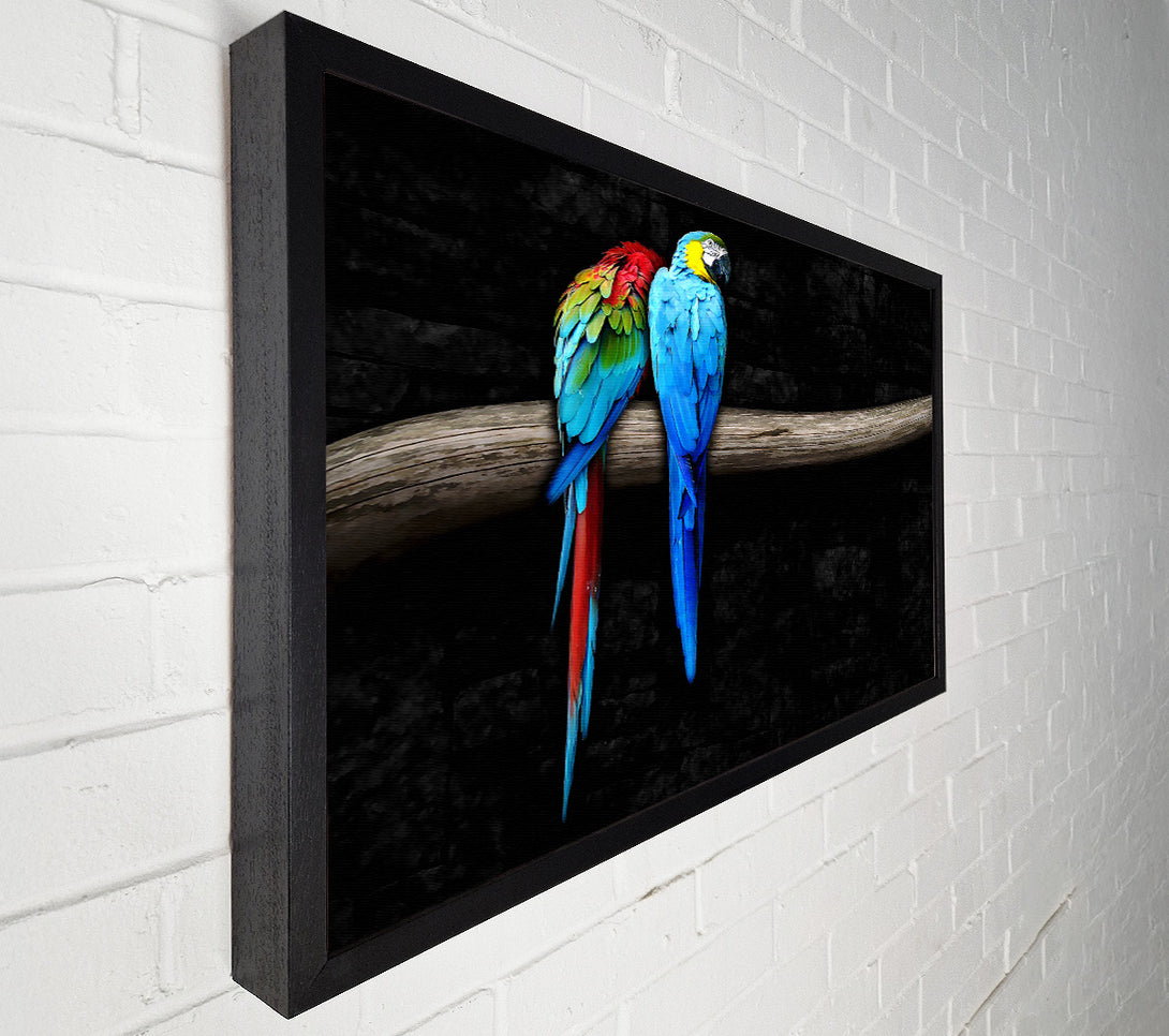  A Canvas Print of Pair Of Parrots Canvas Art