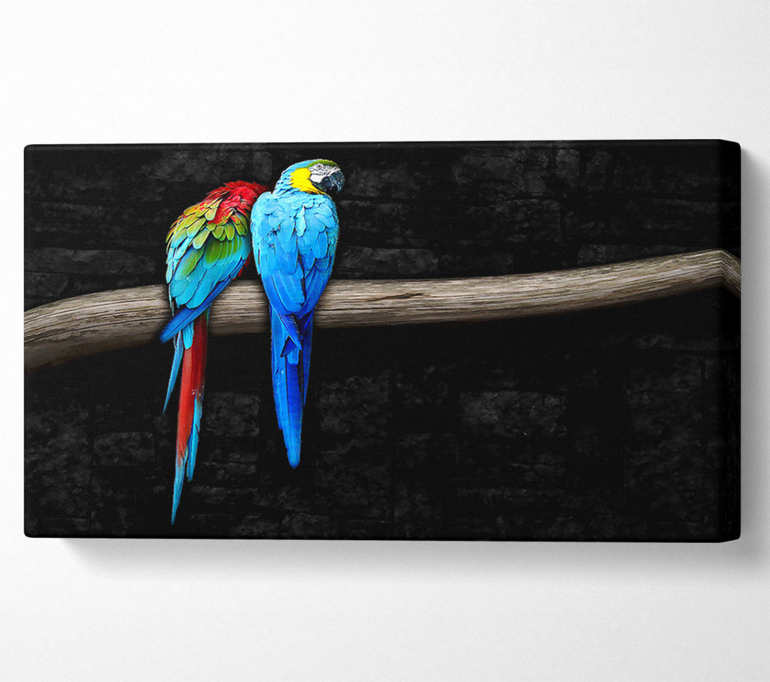  A Canvas Print of Pair Of Parrots Canvas Art