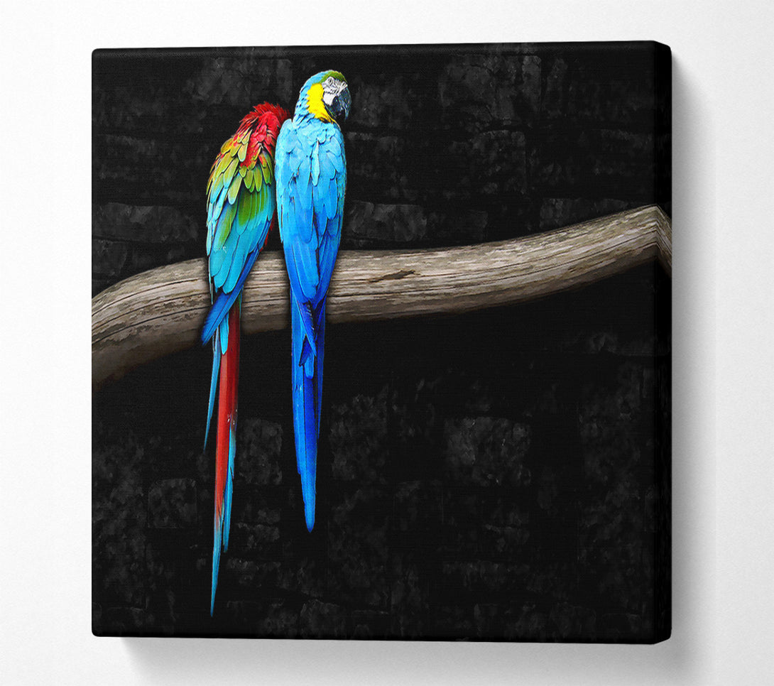  A Canvas Print of Pair Of Parrots Canvas Art