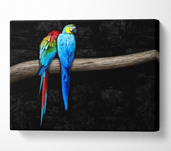  A Canvas Print of Pair Of Parrots Canvas Art