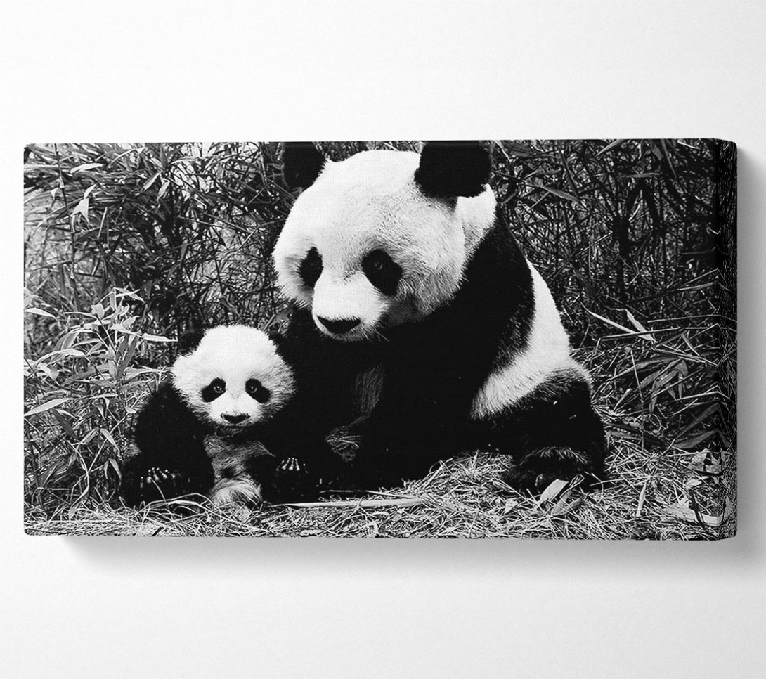 A Canvas Print of Panda Mother And Baby Canvas Print