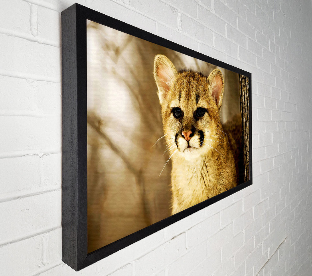  A Canvas Print of Panther In The Woodland Canvas Wall Art