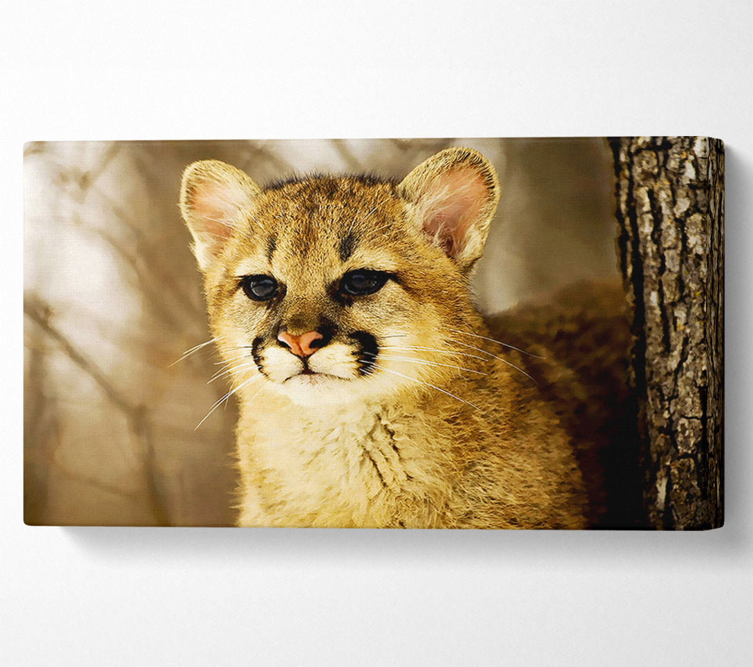  A Canvas Print of Panther In The Woodland Canvas Wall Art