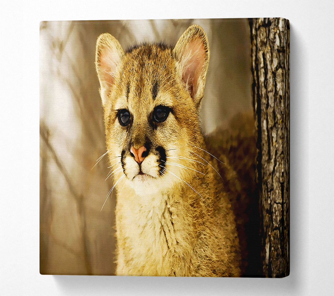  A Canvas Print of Panther In The Woodland Canvas Wall Art