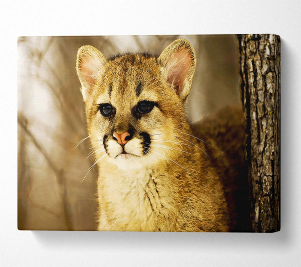  A Canvas Print of Panther In The Woodland Canvas Wall Art