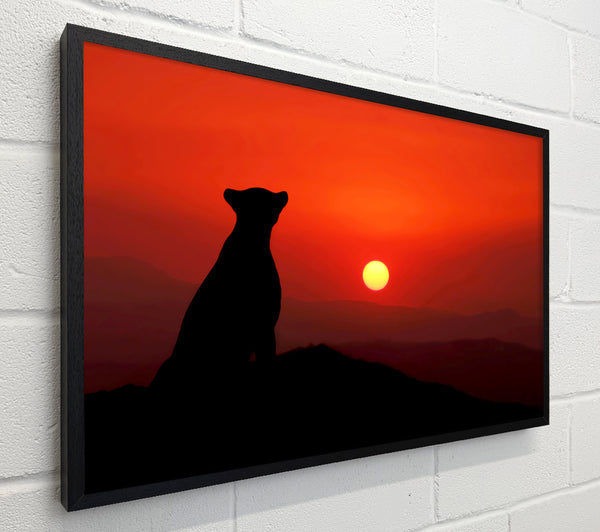 Panther Sunset