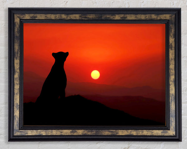 Panther Sunset Framed Print