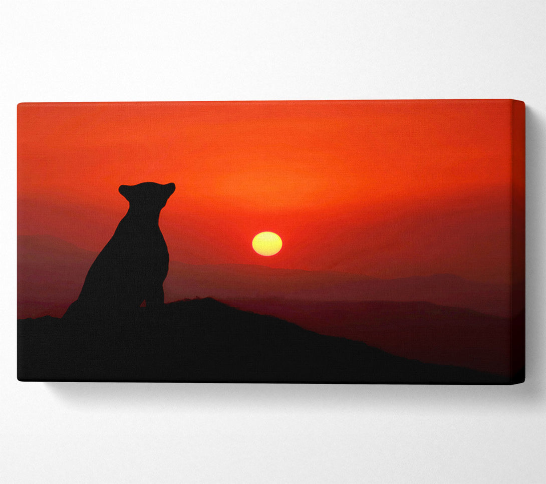  A Canvas Print of Panther Sunset Canvas Art