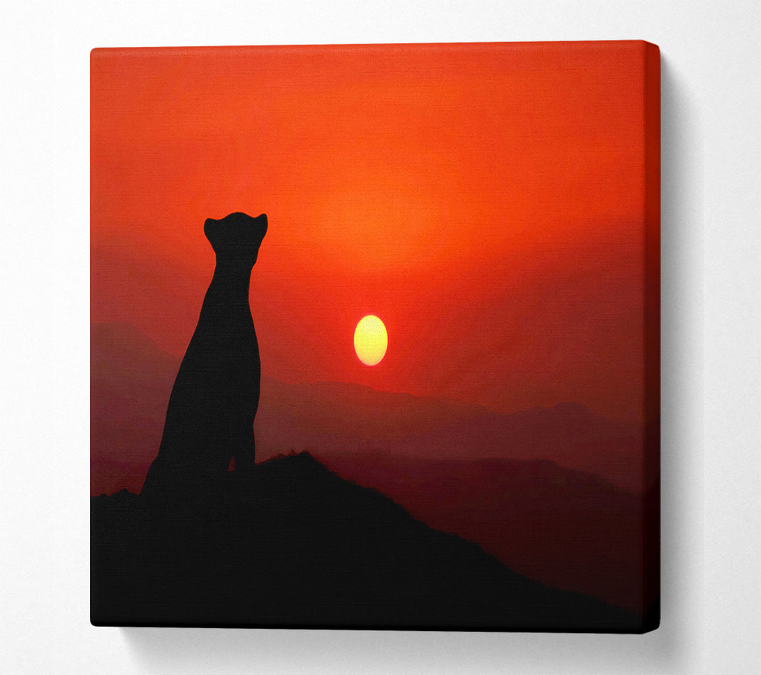  A Canvas Print of Panther Sunset Canvas Art