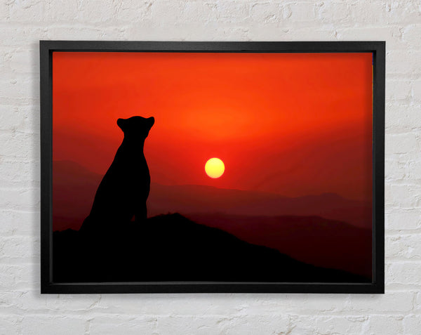 Panther-Sonnenuntergang