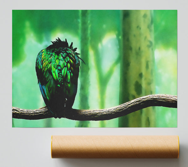 Parrot Perch Print