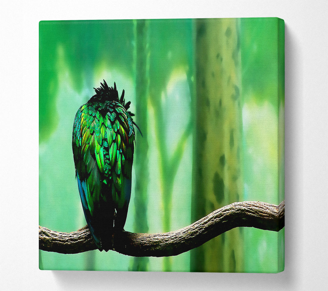  A Canvas Print of Parrot Perch Canvas Art
