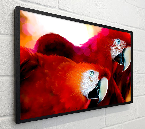 Parrots