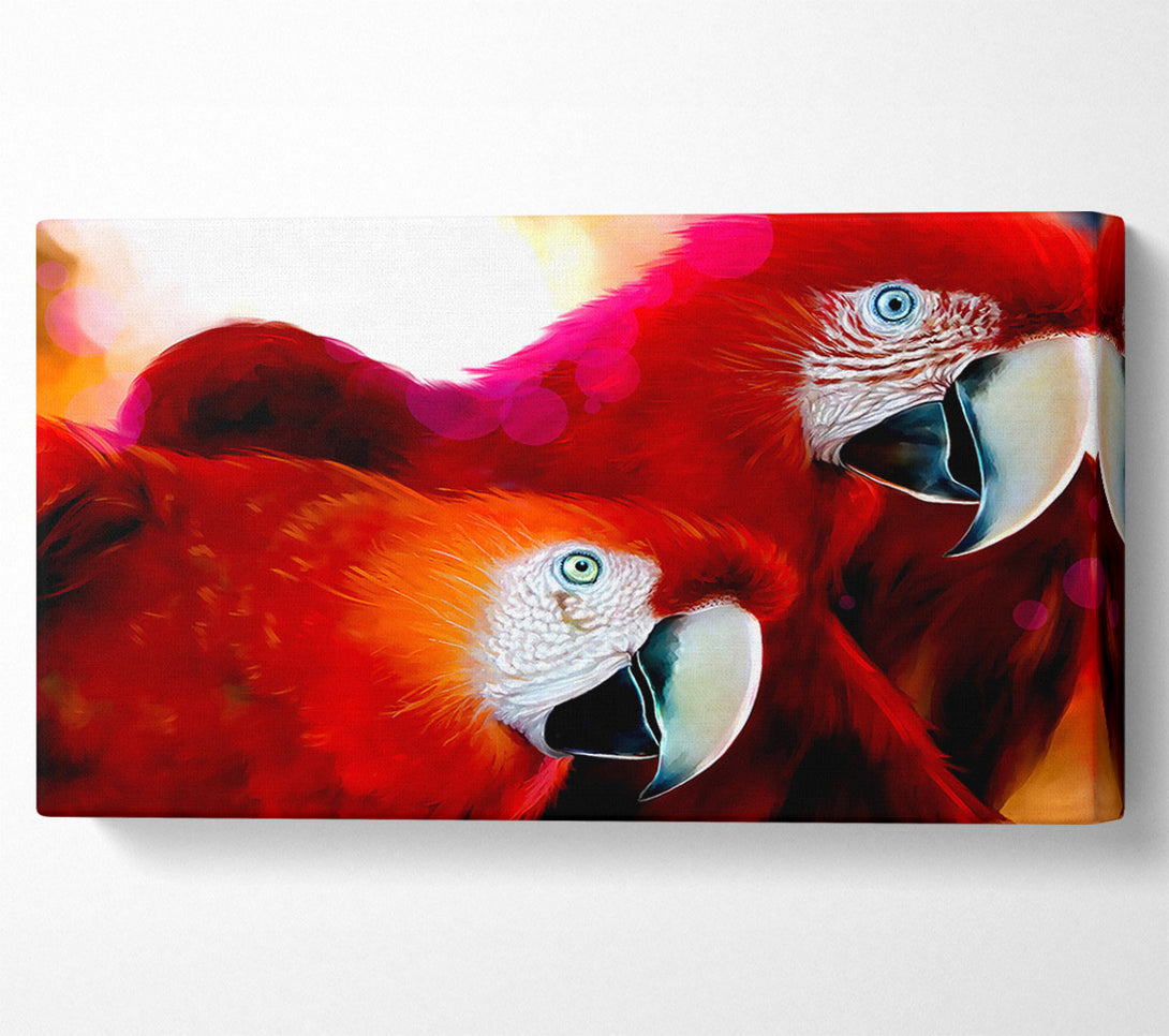  A Canvas Print of Parrots Canvas Wall Art