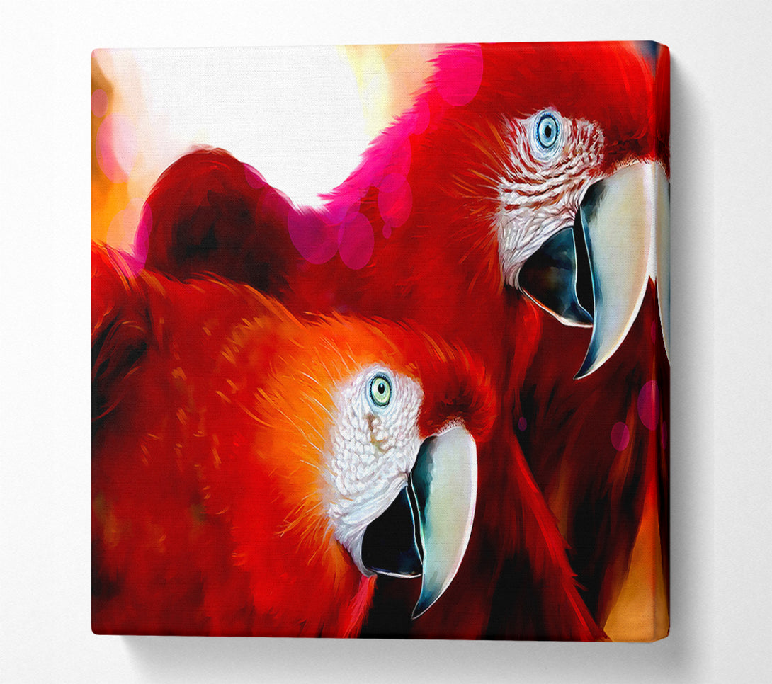  A Canvas Print of Parrots Canvas Wall Art