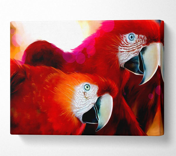  A Canvas Print of Parrots Canvas Wall Art