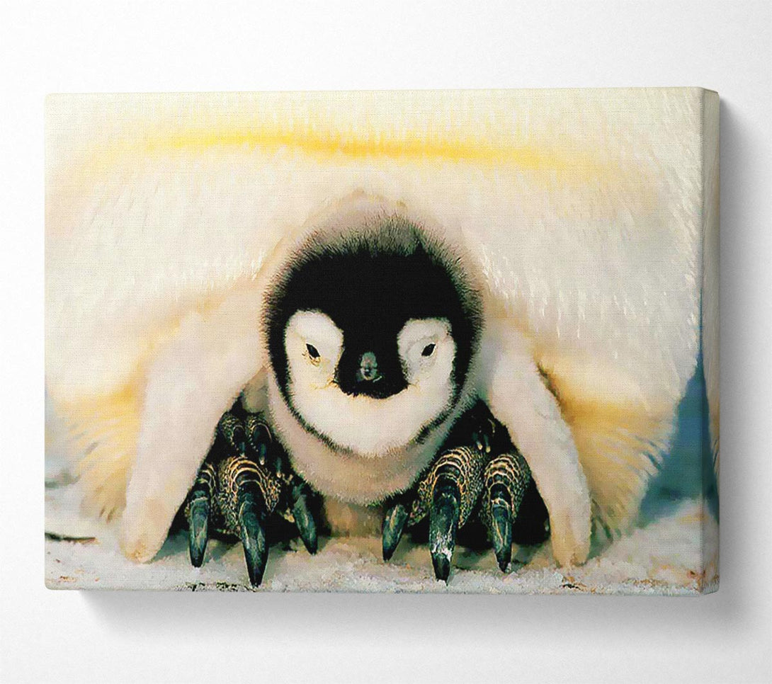  A Canvas Print of Penguin Love Canvas Art