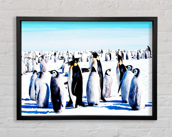 Pinguin-Treffpunkt