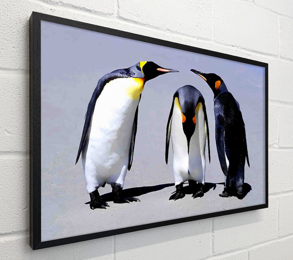 Penguin Shame