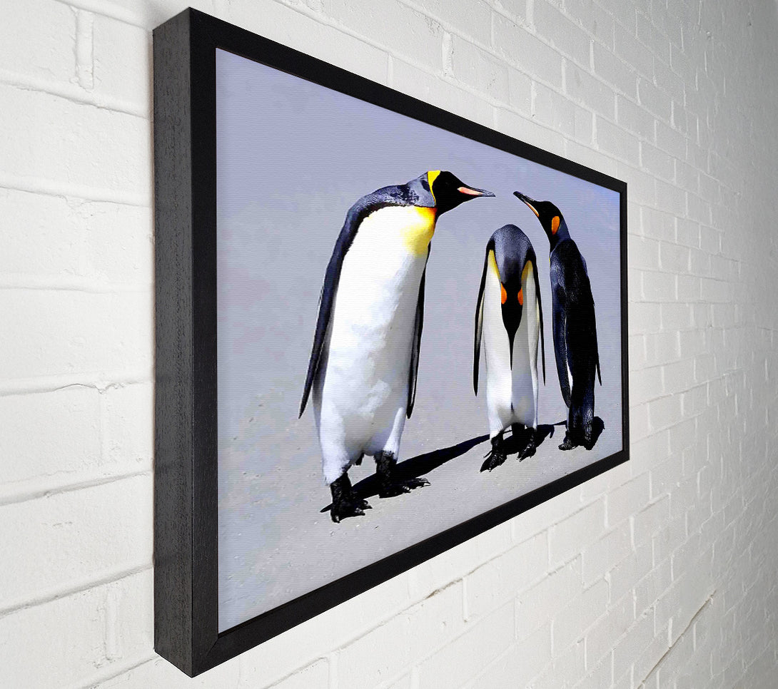  A Canvas Print of Penguin Shame Canvas Wall Art