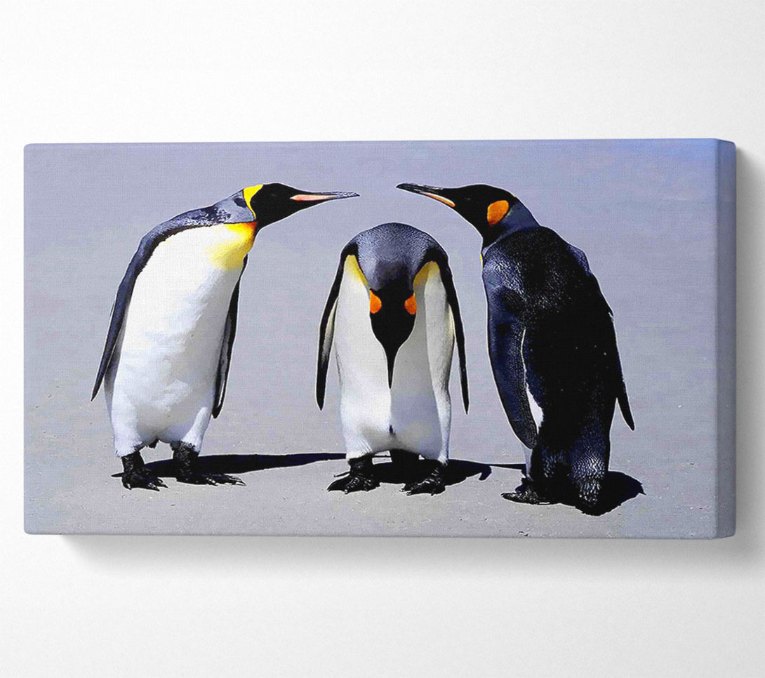  A Canvas Print of Penguin Shame Canvas Wall Art
