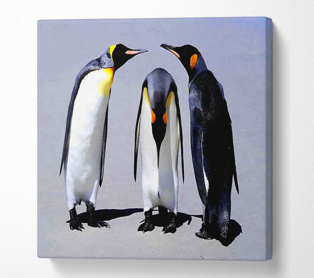  A Canvas Print of Penguin Shame Canvas Wall Art