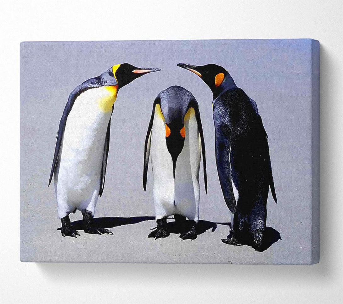  A Canvas Print of Penguin Shame Canvas Wall Art