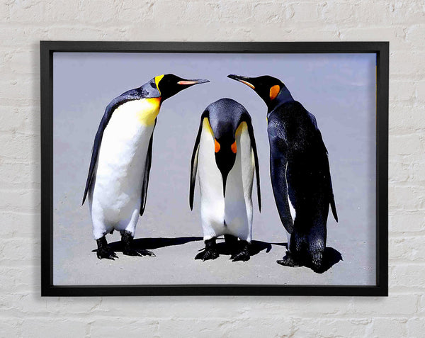 Penguin Shame Framed Print