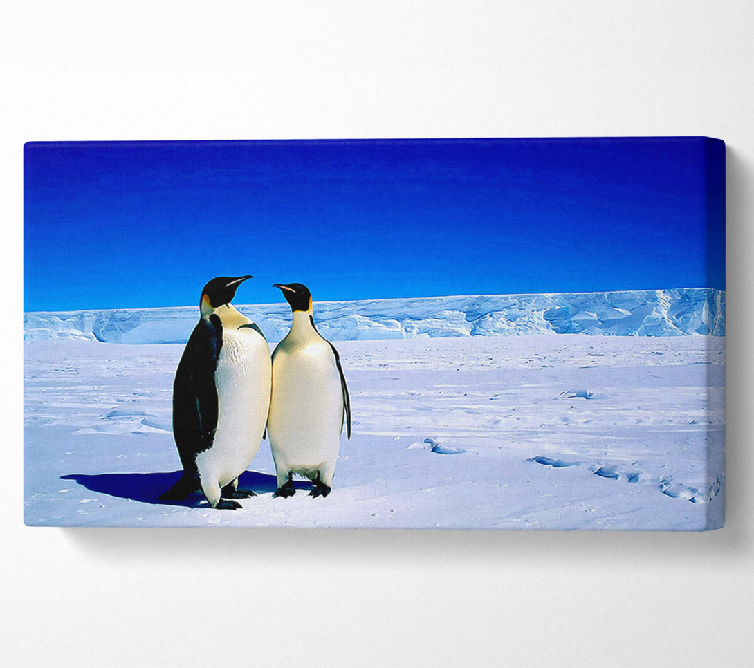  A Canvas Print of Penguin Stroll Canvas Print