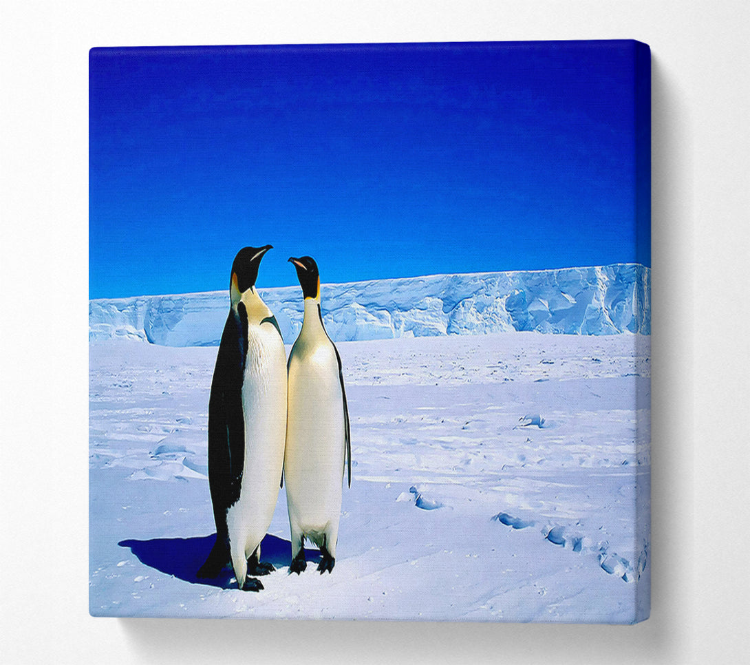  A Canvas Print of Penguin Stroll Canvas Print