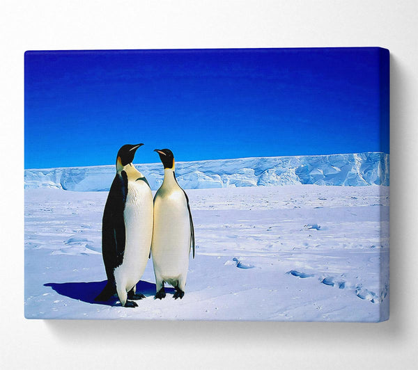  A Canvas Print of Penguin Stroll Canvas Print