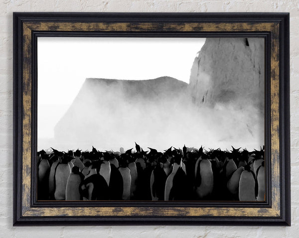 Penguin Winter Framed Print