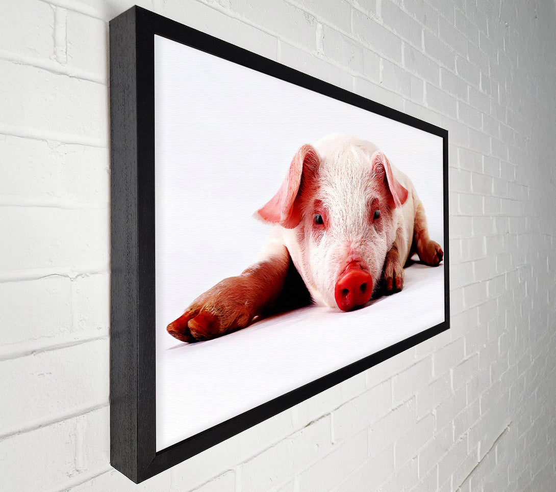  A Canvas Print of Pig Portrait Canvas Art