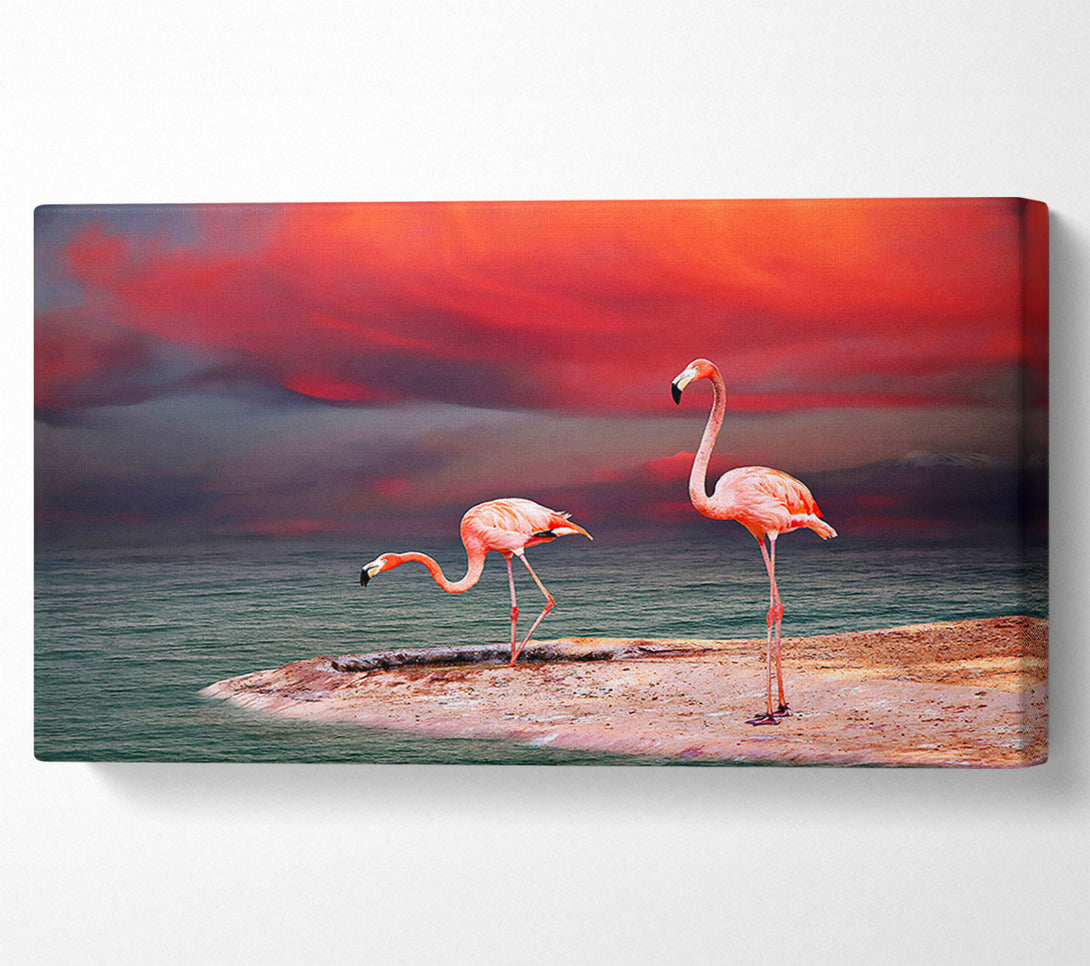  A Canvas Print of Pink Flamingo Ocean Canvas Wall Art