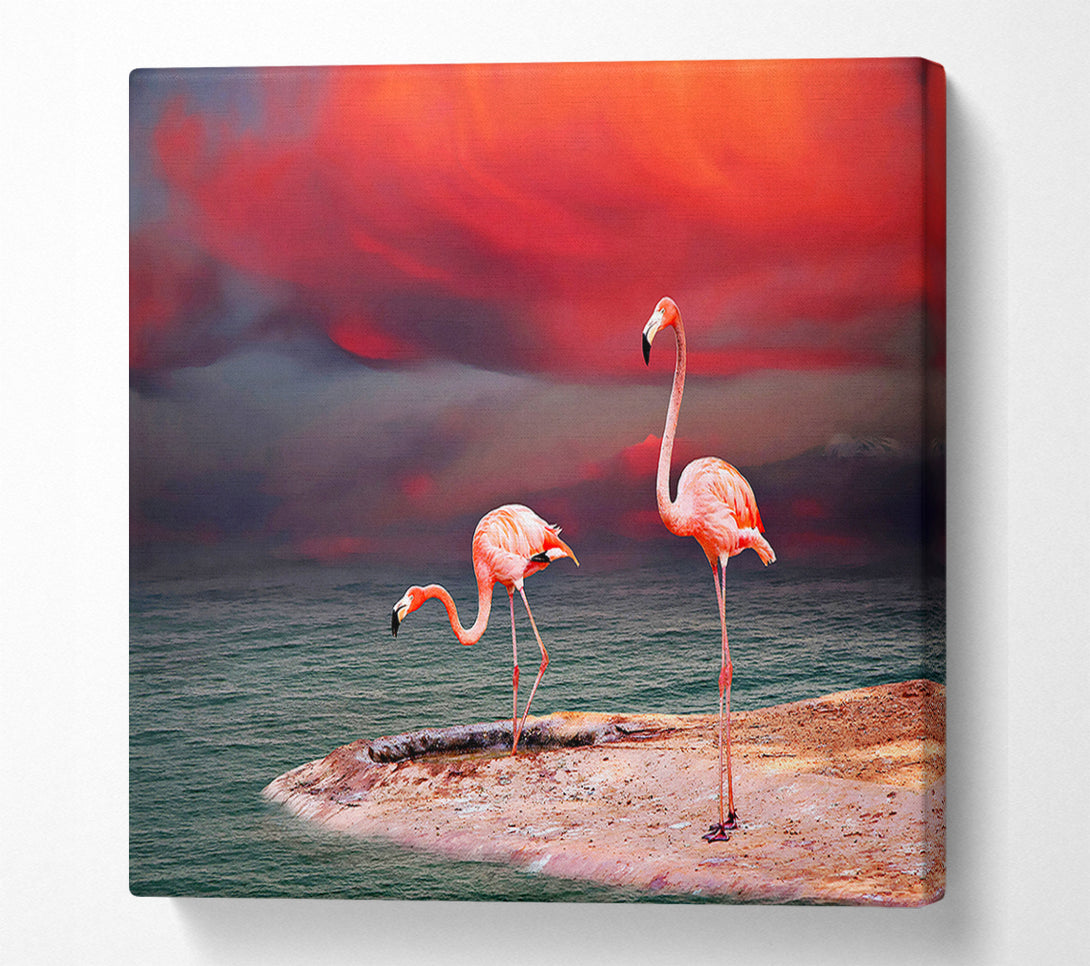  A Canvas Print of Pink Flamingo Ocean Canvas Wall Art