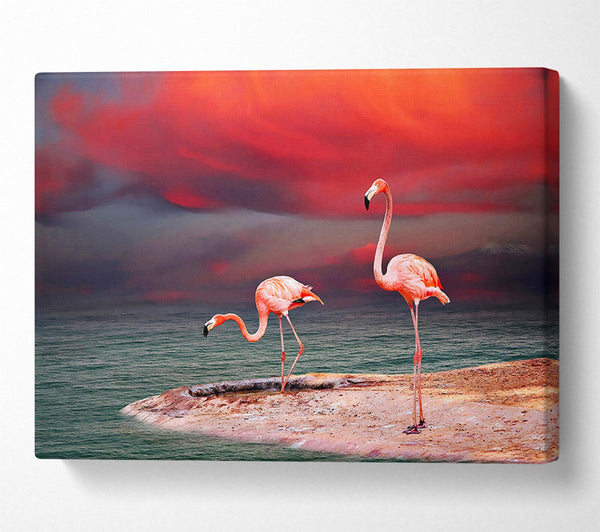  A Canvas Print of Pink Flamingo Ocean Canvas Wall Art