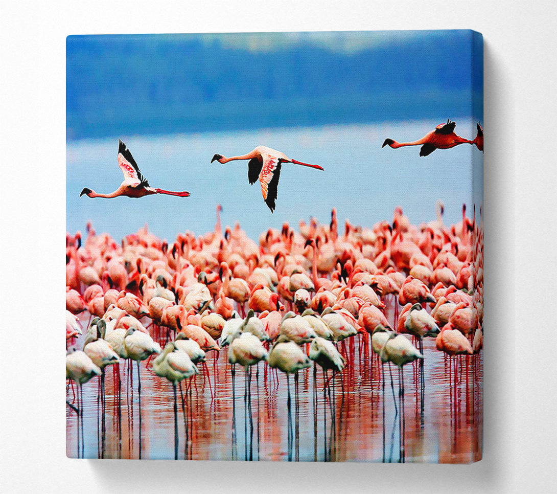  A Canvas Print of Pink Flamingos In Flight Canvas Print