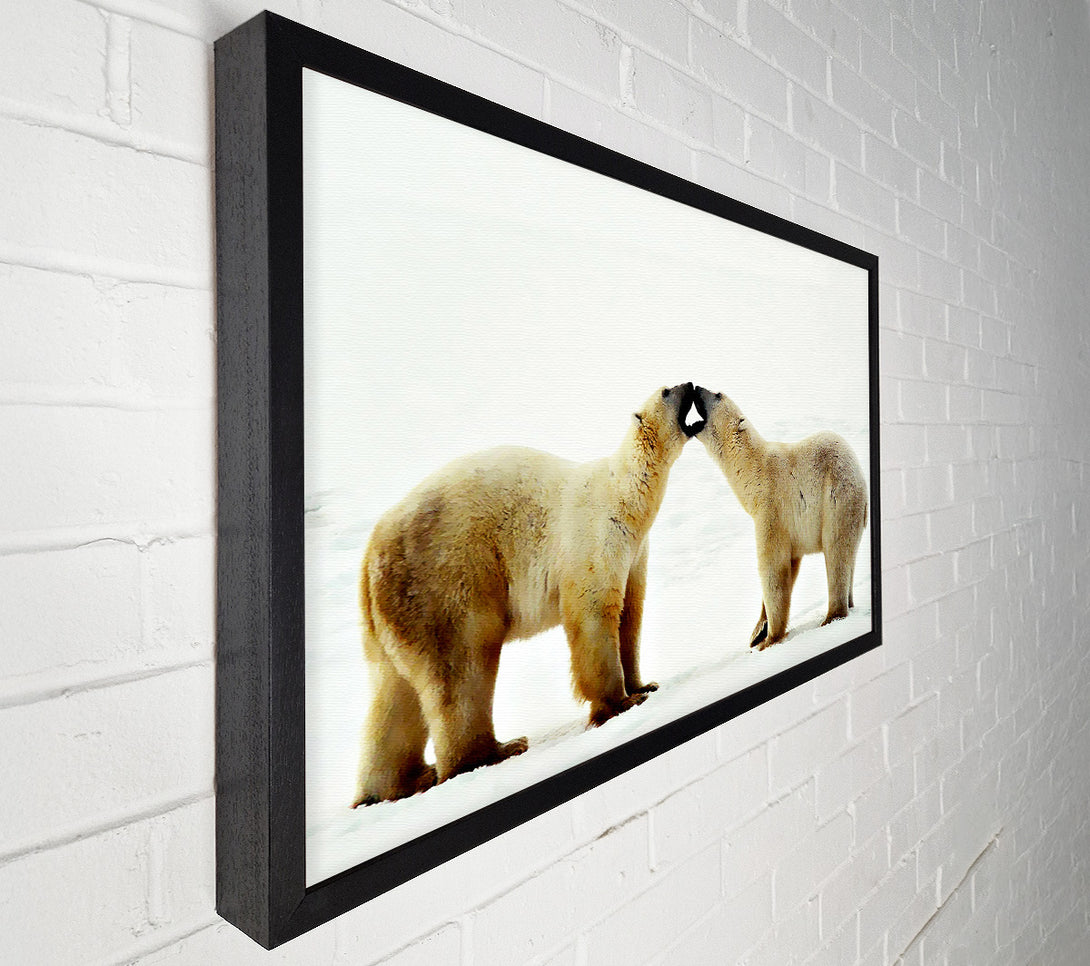  A Canvas Print of Polar Bear Love Canvas Art